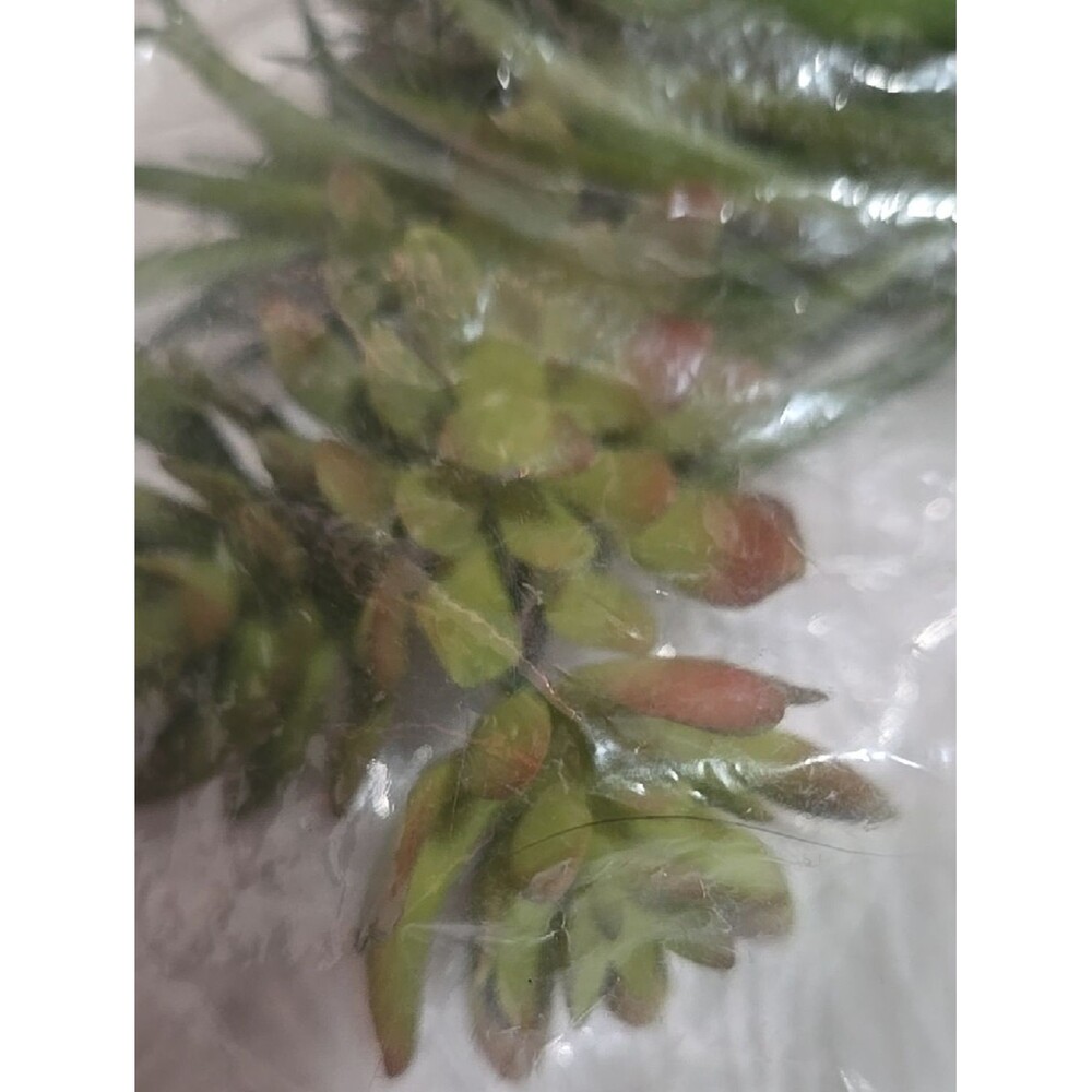Faux Floral Mini Wreth And Pack Stem Plant Pick Green White Reds Pink Colorful - Picture 3 of 15